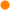 ca. 1-2 Wochen
