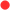 ca. 3-4 Wochen