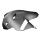 Preview: F&F Carbon Exhaust cover (for Akrapovic silencer), 100 % carbon – Ducati Akrapovic Endtopf) für Ducati Panigale V4R from 2020