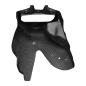 Preview: F&F Carbon Bugspoiler, 100 % Carbon – Aprilia RSV Tuono 2003–2005