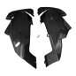 Preview: F&F Carbon Belly pan, 100 % carbon – Aprilia RSV4 2009–2014