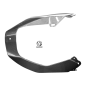 Preview: F&F Carbon Bugspoiler, 100 % Carbon – Aprilia Tuono V4 2015–2020