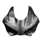 Preview: F&F Carbon Frontverkleidung-Racing, 100 % Carbon – Ducati Panigale V4, Panigale V4S ab 2025