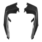 Preview: F&F Carbon Heck-Seitenverkleidung, 100 % Carbon – Aprilia Tuono V4 ab 2025, RSV4 ab 2025