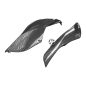 Preview: F&F Carbon Heck-Seitenverkleidung, 100 % Carbon – Ducati Panigale 899, Panigale 1199