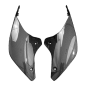 Preview: F&F Carbon Tail side panel, carbon/glass fibre – Ducati Streetfighter V4 from 2020