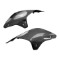 Preview: F&F Carbon Tail side panel, carbon/glass fibre – Ducati Streetfighter V4 from 2020