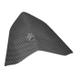 Preview: F&F Carbon Heckverkleidung, 100 % Carbon – MV Agusta Rivale 800