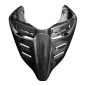 Preview: F&F Carbon Heckverkleidung-Racing, 100 % Carbon – Ducati Panigale V4/V4S/V2