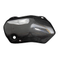 Preview: F&F Carbon Hitzeschutz, 100 % Carbon – Ducati Monster 1200 ab 2017