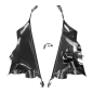 Preview: Carena interna F&F Carbon, 100 % carbonio – Ducati Panigale V4, Panigale V4S