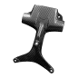 Preview: F&F Carbon Kennzeichenhalter, 100 % Carbon – MV Agusta F4 1000 2010–2013