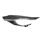 Preview: F&F Carbon Front chain guard, 100 % carbon – Ducati Multistrada V4 from 2021