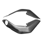 Preview: F&F Carbon Kühlerverkleidung, Carbon/Glasfaser – MV Agusta Brutale 675/800 2013–2015/Dragster 2014–2018, Brutale RR 2015–2017 u. a.