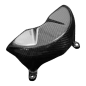 Preview: Protezione alternatore F&F Carbon, carbonio/fibra di vetro – Ducati Panigale V4/V4S/V4R, Streetfighter V4/V4S