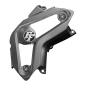 Preview: F&F Carbon Riemenabdeckung, 100 % Carbon – Ducati Diavel