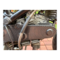 Preview: Copricinghia F&F Carbon, 100 % carbonio – Ducati Monster 900