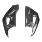 Preview: F&F Carbon Schwingenverkleidung, Carbon/Glasfaser – Aprilia RSV 4 2009–2020