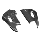 Preview: F&F Carbon Schwingenverkleidung, Carbon/Glasfaser – Aprilia RSV 4 2009–2020