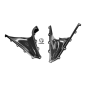 Preview: F&F Carbon Seitenverkleidung, 100 % Carbon – Aprilia RSV 1000R 2006–2009