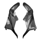 Preview: F&F Carbon Side panel, carbon/glass fibre – Ducati Panigale V2/V2S from 2025