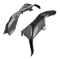 Preview: F&F Carbon Side panel, carbon/glass fibre – Ducati Panigale V2/V2S from 2025
