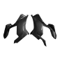 Preview: F&F Carbon Seitenverkleidung, 100 % Carbon – Ducati Panigale V4, Panigale V4S/V4R 2018–2019