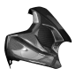 Preview: Copriserbatoio F&F Carbon, 100 % carbonio – Ducati Panigale V4/V4S dal 2025