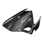 Preview: F&F Carbon Windschutz, 100 % Carbon – Aprilia Dorsoduro 1200 2010–2018