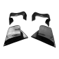 Preview: F&F Carbon Winglets, Carbon/Glasfaser – Ducati Panigale V4/V4S