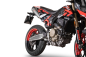 Preview: QD-EXHAUST Ducati Hypermotard 698 (Euro 5+) – Slip-on Tri-Cone Titanium Carbon – detail view