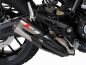 Preview: ZARD Slip-on Titan für Ducati Scrambler 800