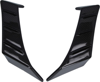 CarbonAttack Winglets glänzend, Aprilia RSV4