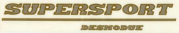 Decal - Fairing LH (24,7 x 3,8cm)