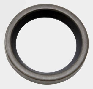 Oil Ring Rear Swing - Ducati