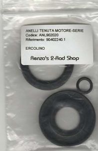 Simmerring Set Motor - Moto Guzzi