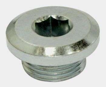 Oil Plug - Gear, Cylinder Head