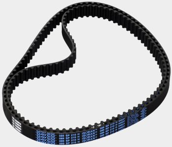 Timing Belt - Ducati 998, 999 ... (Dayco, 1 Pair)