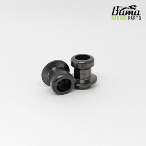 Preview: Ducati Panigale V2 Bobbins RACE PRO Mini Edelstahl – BUMA Racing