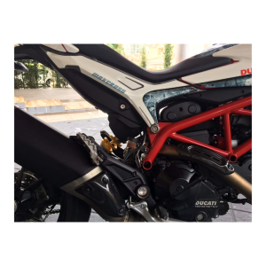 F&F Carbon Auspuffverkleidung, 100 % Carbon – Ducati Hyperstrada, Hypermotard 821 2013–2015 939 ab 2016