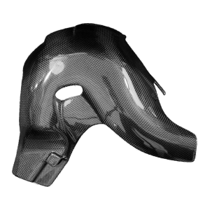 Paracalore scarico F&F Carbon, carbonio/fibra di vetro – Ducati Panigale V4, Panigale V4S
