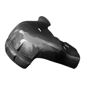 Preview: Paracalore scarico F&F Carbon, carbonio/fibra di vetro – Ducati Panigale V4, Panigale V4S