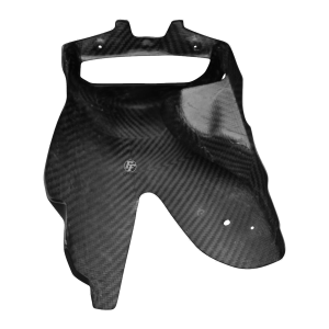 F&F Carbon Bugspoiler, 100 % Carbon – Aprilia RSV Tuono 2003–2005