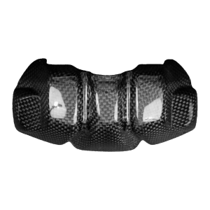 F&F Carbon Frontverkleidung, 100 % Carbon – Ducati Streetfighter V2 ab 2021