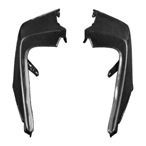 Preview: F&F Carbon Heck-Seitenverkleidung, Carbon/Glasfaser – Aprilia Tuono V4 ab 2025, RSV4 ab 2025