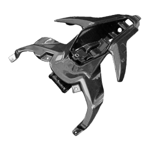 Preview: F&F Carbon Heckverkleidung, 100 % Carbon – Ducati Panigale V4, Panigale V4S u. a.