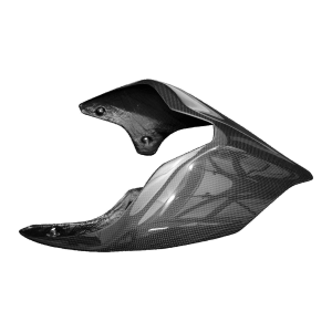 Preview: F&F Carbon Heckverkleidung (Monoposto), 100 % Carbon – Ducati Streetfighter V4 ab 2020