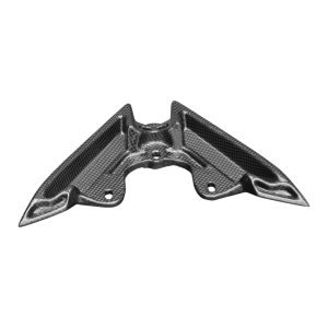 Preview: F&F Carbon Heckverkleidung, Carbon/Glasfaser – MV Agusta Dragster 800 2014–2018, Dragster RR 2015–2017 u. a.