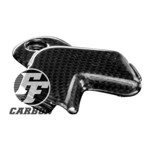 Preview: F&F Carbon Heckverkleidung über Rücklicht, Carbon/Glasfaser – Aprilia RSV4 2009–2020, Tuono V4 Factory 2016–2020