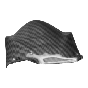 Preview: F&F Carbon Hinteres Schutzblech (Kurze Version), Carbon/Glasfaser – Ducati 749, 999 2003–2004